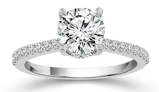 14 Karat White Straight P Engagement Ring - IDD SANDEEP USA LLC