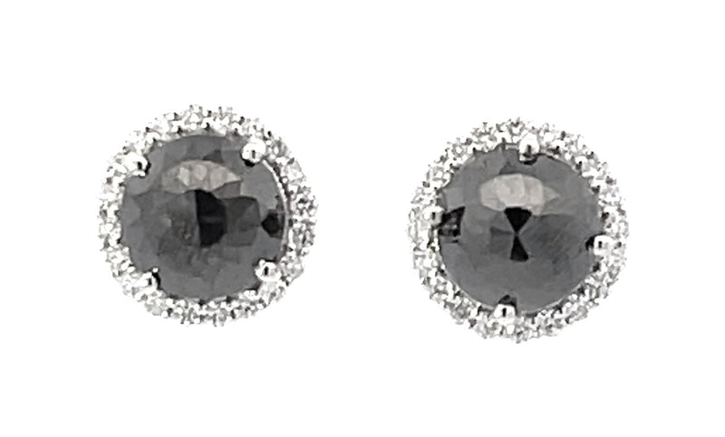 14 Karat White Stud Diamond Earrings