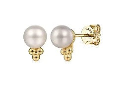 14 Karat Yellow Stud Pearls Earrings