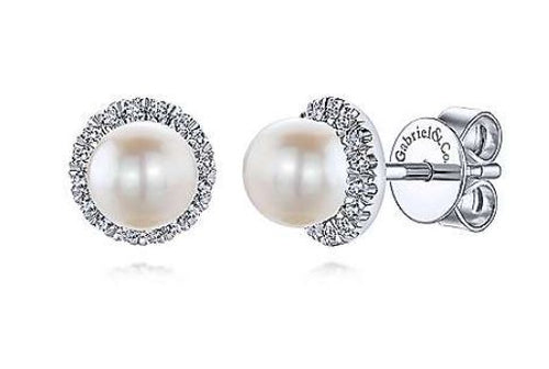 14 Karat White Stud Diamonds Earrings - GABRIEL & CO.